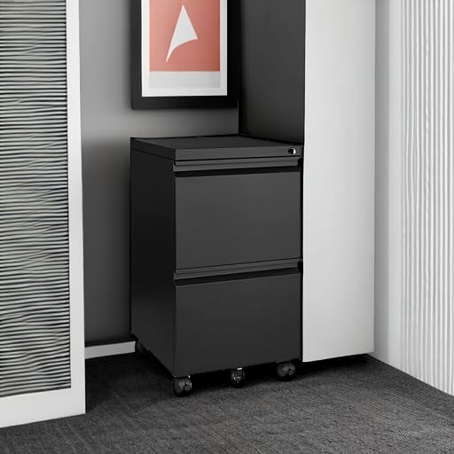 MIIIKO 2 Drawer File Cabinet on Wheels, Home Office Mobile Under Desk with Lock, Vertical Files Drawers for Legal/Letter/A4,Fully Assembled