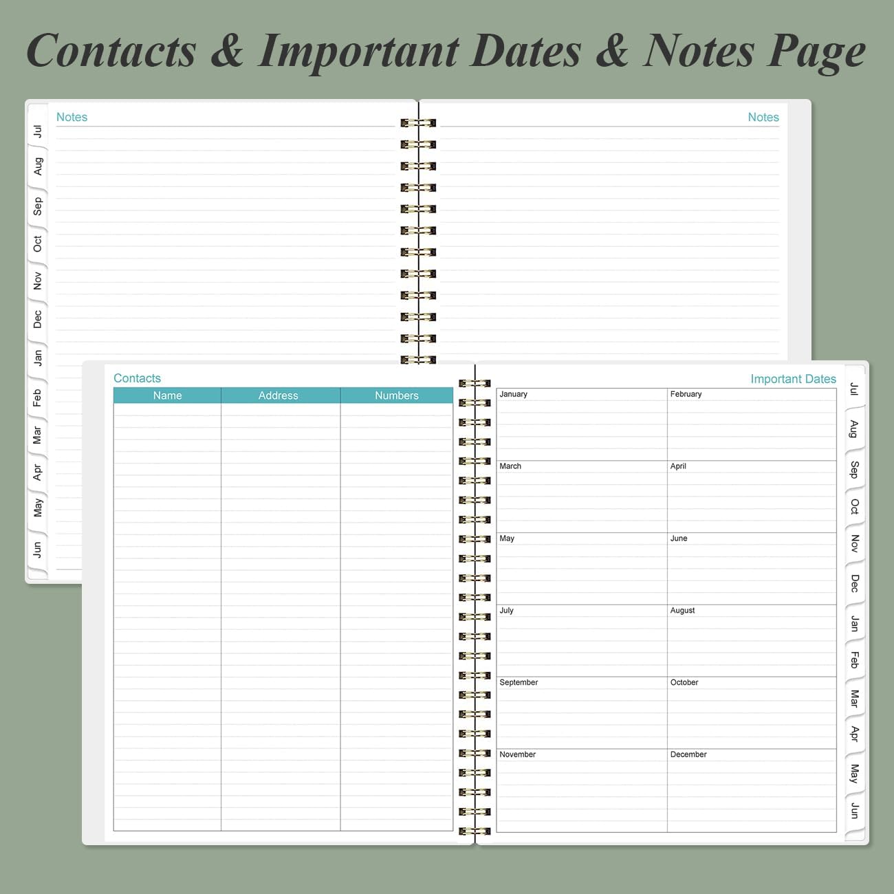 2025-2026 Appointment Book & Planner - 8.5" x 11" Daily Hourly Planner 2025 from July 2025 - June 2026, Weekly Appointment Book with 30-Minute Interval, Teal