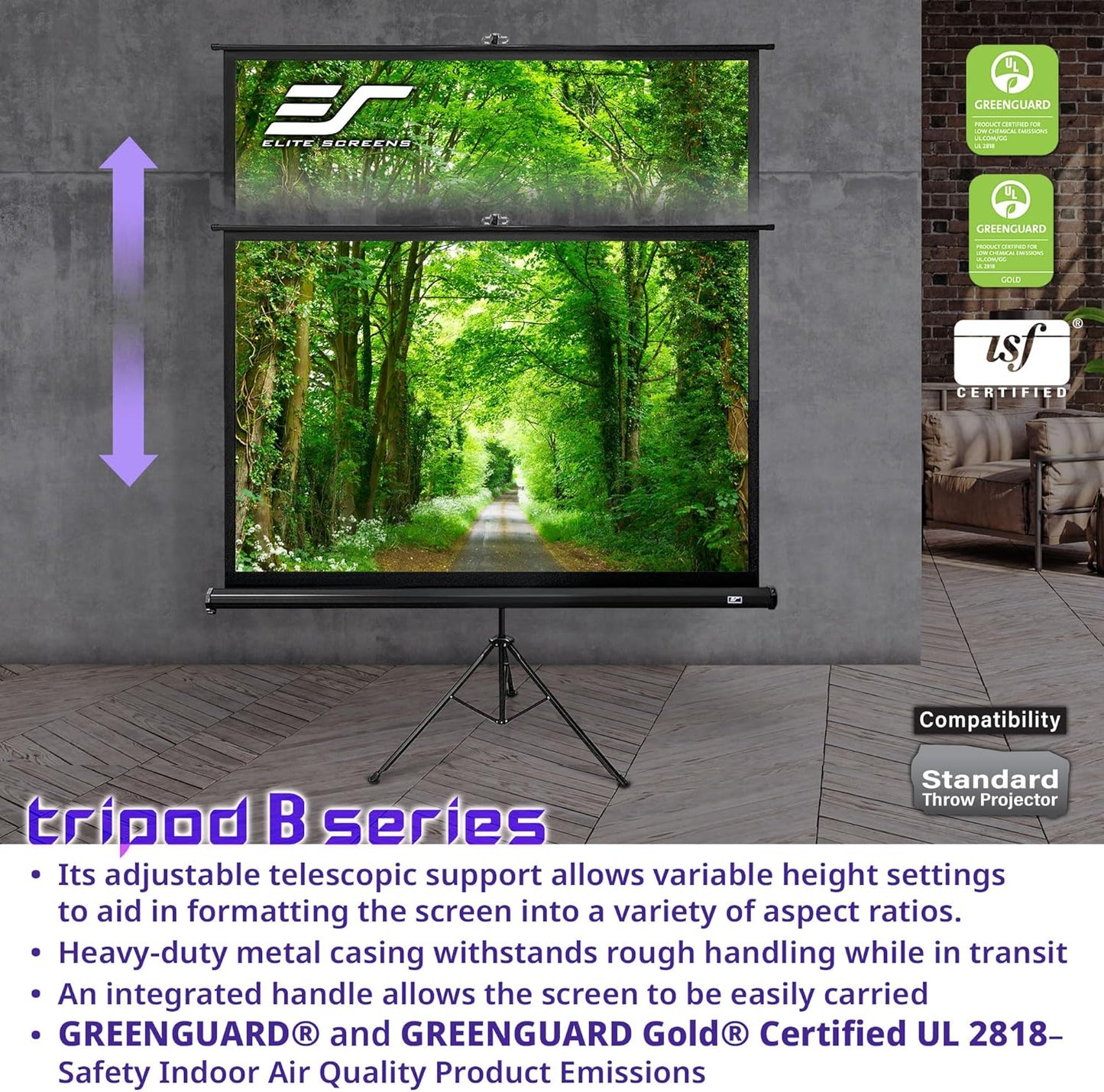 Elite Screens Tripod B, 50-INCH 1:1, Lightweight Pull Up Foldable Stand, Manual, Movie Home Theater Projector Screen, 4K / 8K Ultra HDR 3D Ready, US Based Company 2-YEAR WARRANTY, T50SB - Black