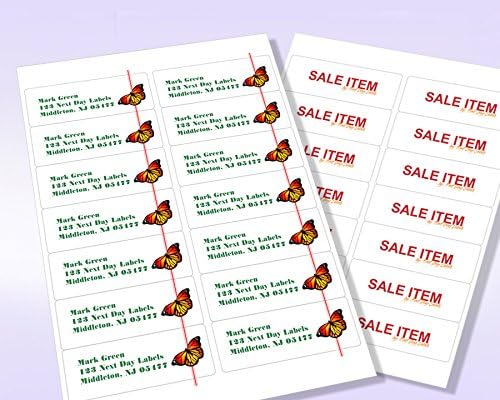 NextDayLabels – 4" x 1-1/3" Rectangular Sticker Labels for Printer - White Laser/Inkjet Printer Labels Return Address Labels Shipping Label Stickers (250 Sheets, 14 Per Sheet, 3500 Labels)