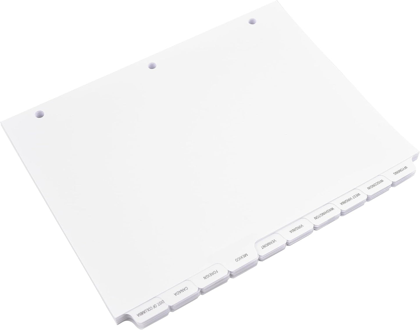 Exhibitindexes® State Divider Tabs/Indexes 3 Hole Punched