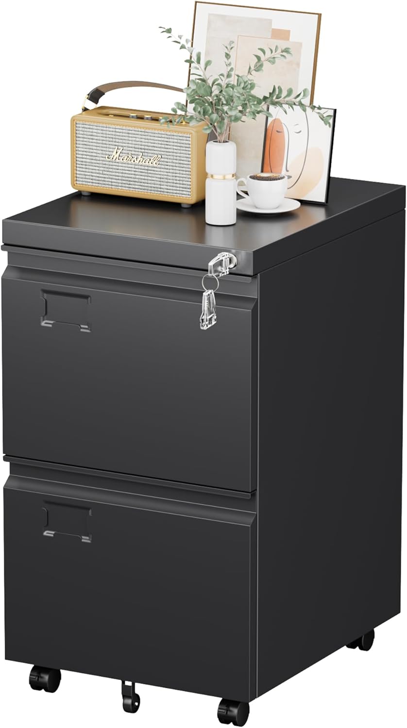 2 Drawer Mobile File Cabinet, Under Desk Drawer with Lock Name Card Holder for Home Office, Metal Filing Cabinet for Legal/Letter Size, Assembly Required