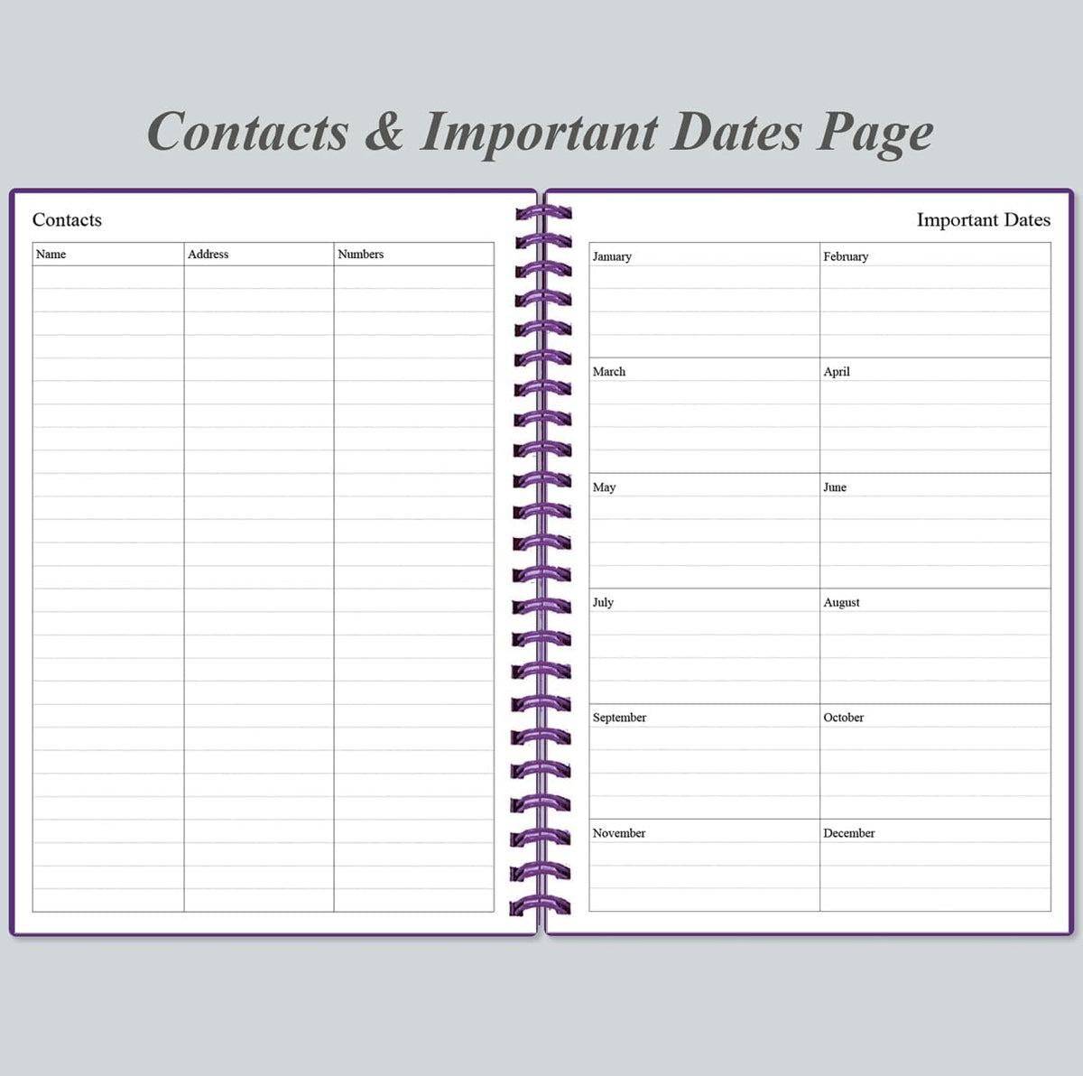 Daily Planner Undated - A5 To Do List Notebook Hourly Schedules, Spiral Appointment Planner for Women and Men, PVC Hardcover, Inner Pocket, Elastic Closure, 5.8" x 8.3", Purple