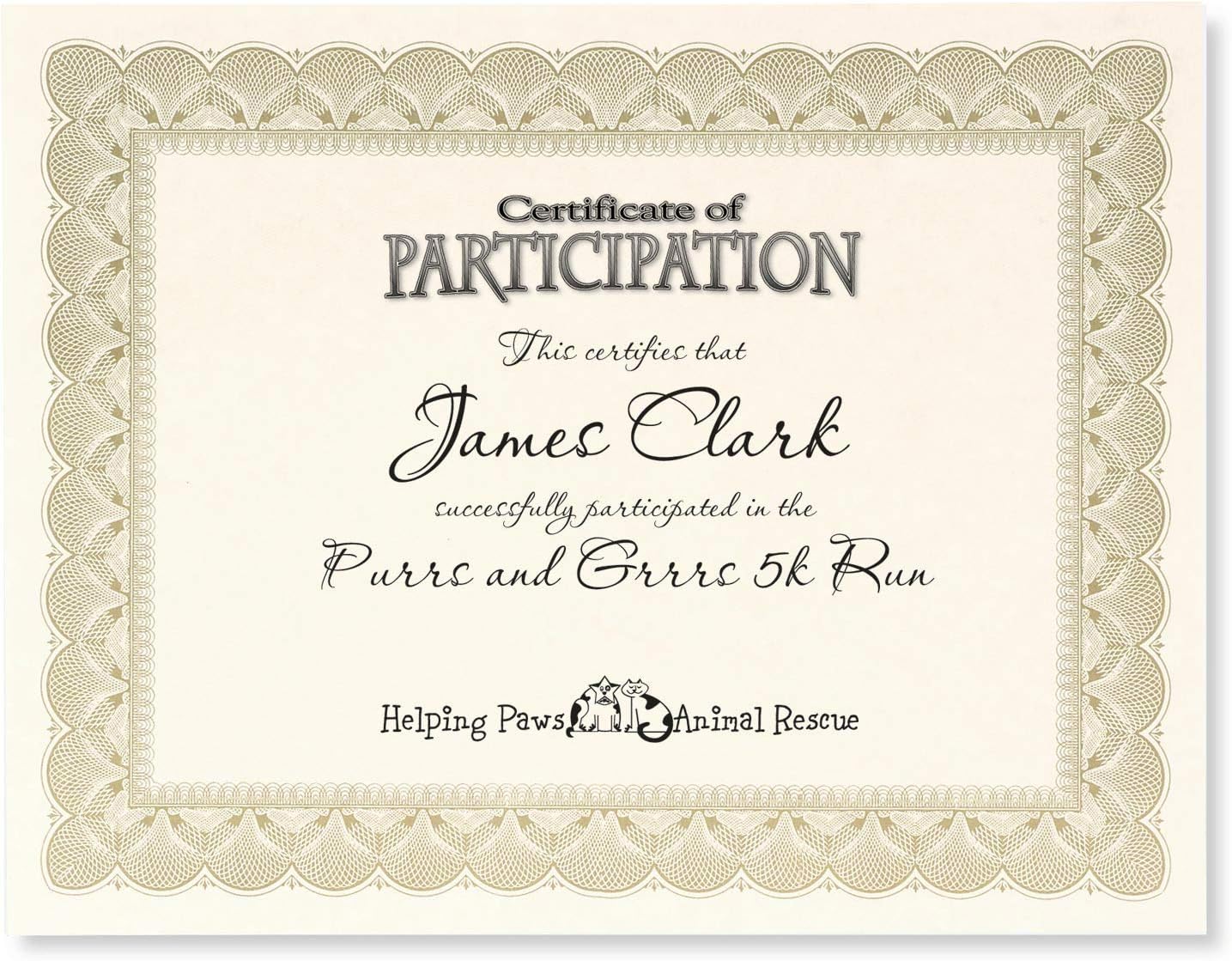 PaperDirect Gold Metallic Traditional Metal Colored Standard White Parchment Certificates, 8.5 x 11, 100 Count
