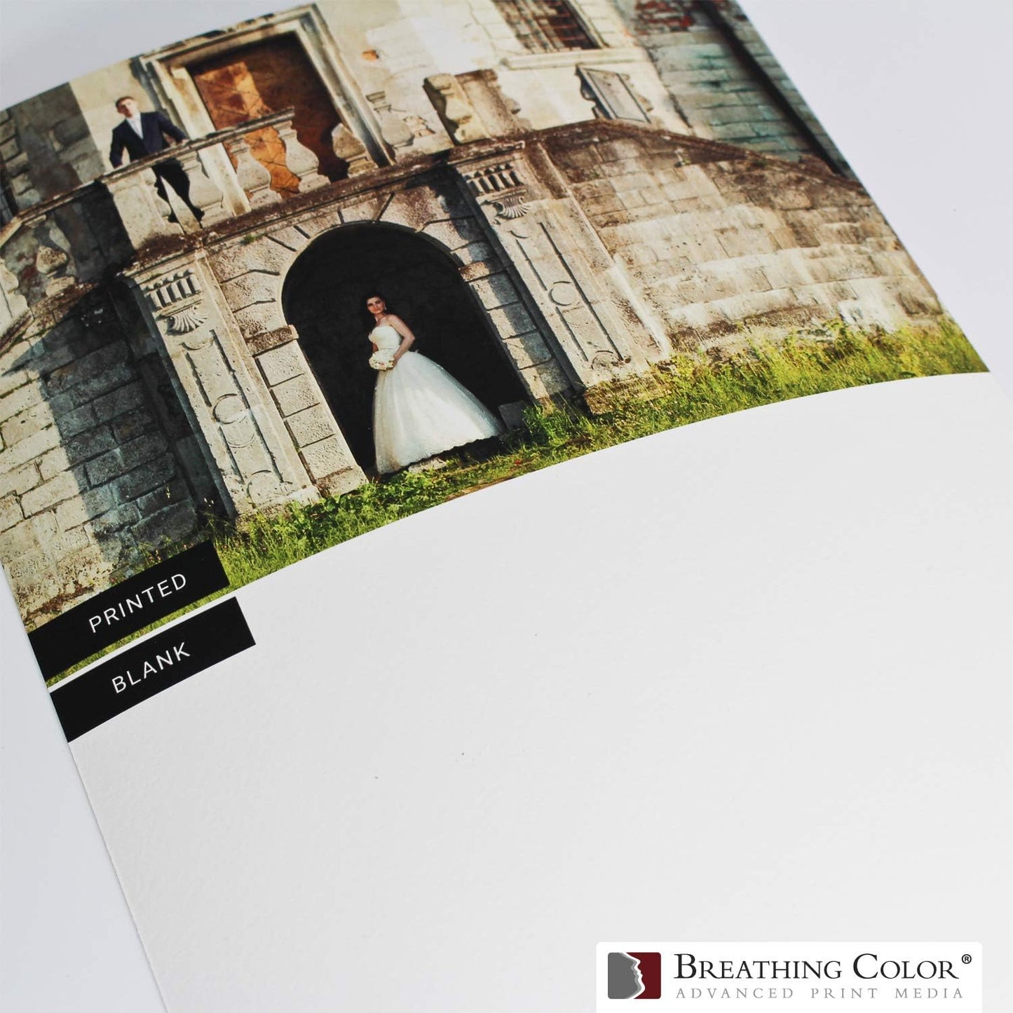 Elegance Velvet 17 in x 40 ft roll is a Premium Matte 310 gsm, Cold Pressed Bright White Museum Grade Fine Art Inkjet Paper, Compatible with Most Dye-Based and Pigment Printers