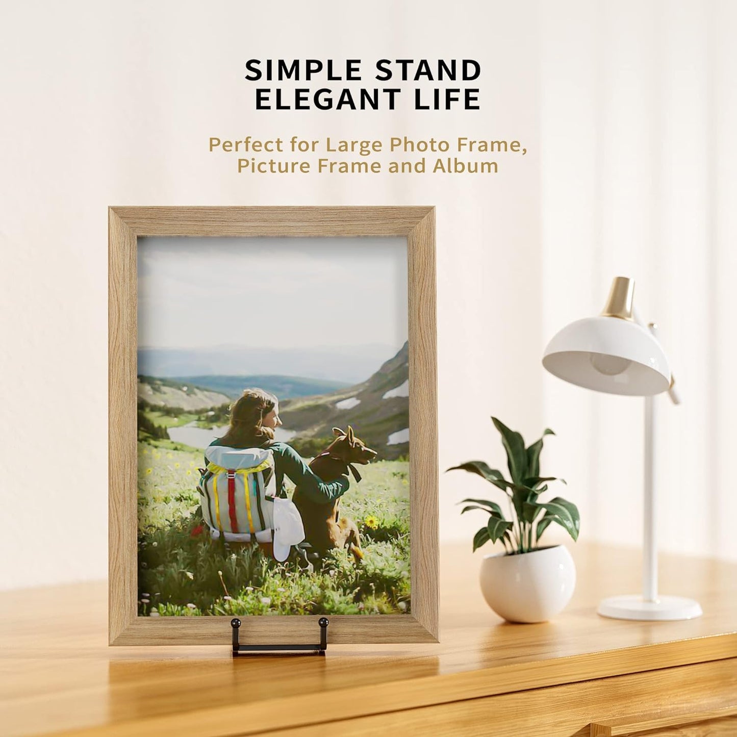 8 Inch Large Plate Stands for Display - Metal Square Wire Plate Holder Display Stand + Picture Stand for Book, Platter, Plaque, Photo Easel (2 Pack)