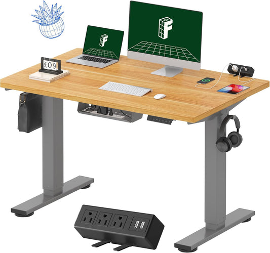 FLEXISPOT EN2 Whole-Piece Standing Desk with Clamp Power Strip, 48 x 30 Electric Stand Up Height Adjustable Desk with Cable Management (Gray Frame + 48" Maple Top, 2 Packages)