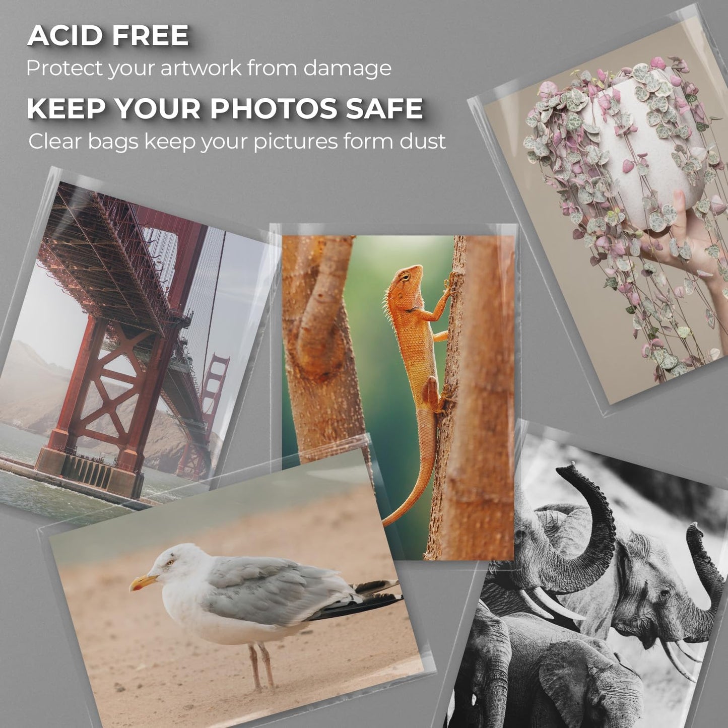 Frametory, 18 3/8" x 24 1/8" Acid-Free Clear Plastic Bags, Self Seal Crystal Photo Sleeves for 18x24 Art Prints, Pictures & Framing Mat Mattes - 25 Pack
