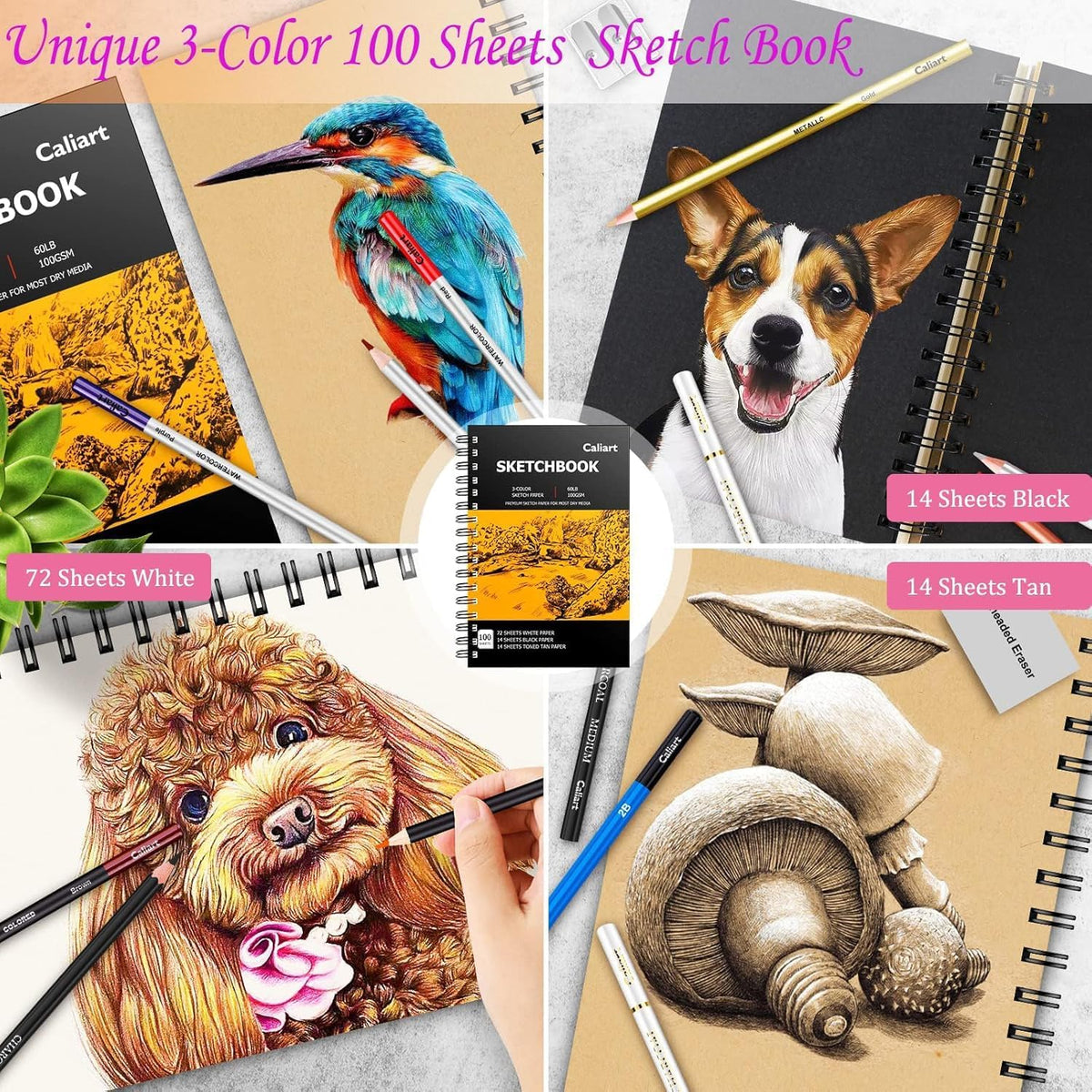 Caliart 176PCS Art Supplies Sketching Kit with 100 Sheets 3-Color Sketch Book, Graphite Colored Charcoal Watercolor & Metallic Pencils, Drawing Supplies Gifts for Artists Adults Beginners