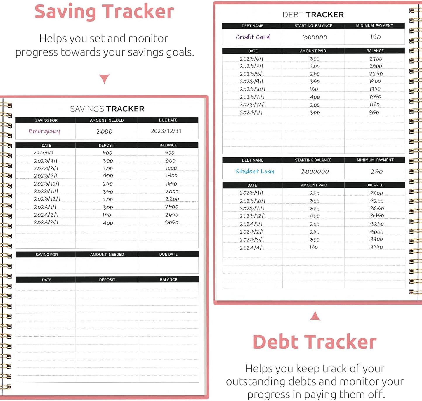 Aesthetic Budget Planner - Monthly Finance Planner with Expense Tracker, Undated Bill Organizer, Budget Notebook to Manage Your Finances, Account Budget Book with Colorful Pattern - Pastel Garden