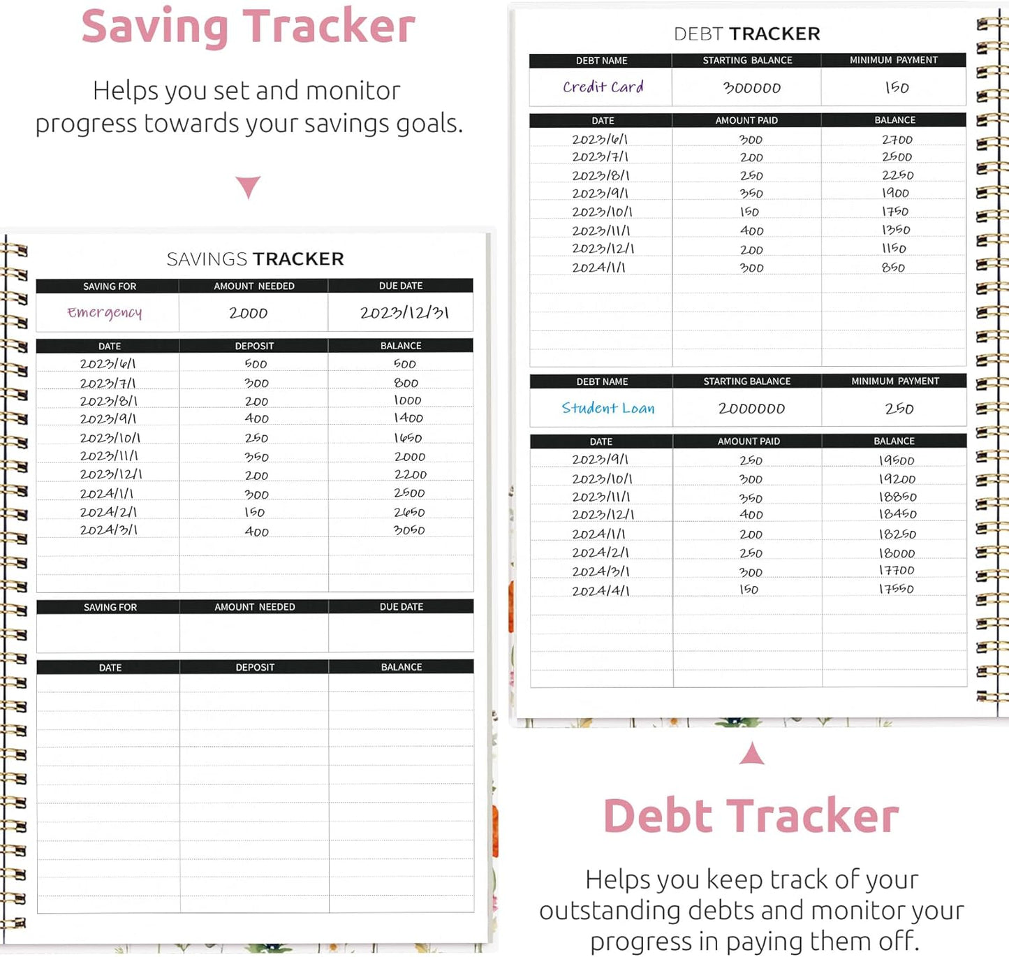 Aesthetic Budget Planner - Monthly Finance Planner with Expense Tracker, Undated Bill Organizer, Budget Notebook to Manage Your Finances, Account Budget Book with Colorful Pattern - Wildflowers