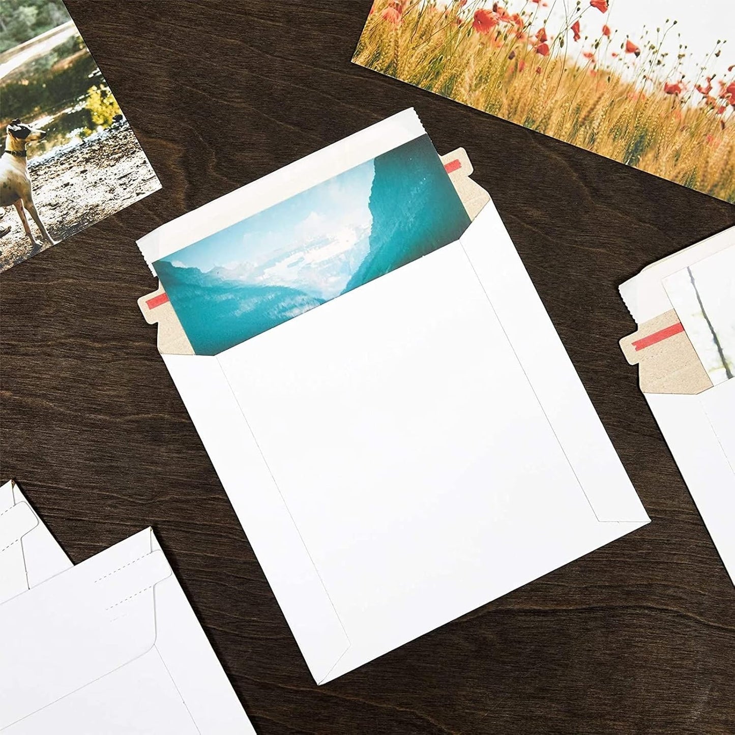 CD Mailers - 100-Pack, 6x6-Inch, White Flat Square - 450 GSM Thick Cardboard Envelopes for DVDs, Photos & Trading Cards
