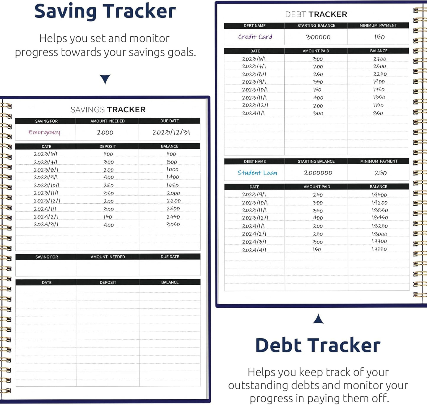 Aesthetic Budget Planner - Monthly Finance Planner with Expense Tracker, Undated Bill Organizer, Budget Notebook to Manage Your Finances, Account Budget Book with Colorful Pattern - Petite Blooms